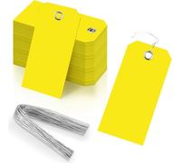 Lot de 100 étiquettes d'expédition en plastique étanches avec trous métalliques renforcés, 11,4 x 7,9 cm