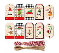 Lot de 100 étiquettes en papier à 10 motifs avec mots de bénédiction pour décoration de cadeaux de vacances, étiquettes à suspendre pour boissons, bacs de rangement, porte-bouteilles, pots et paniers