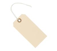 Lot de 100 étiquettes en papier avec ficelle attachée - 12 x 6 cm, 100 grandes étiquettes à nouer avec ficelle