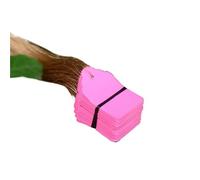 Lot de 100 étiquettes for plantes avec corde, à suspendre, for pot fleurs, décoration jardin Pour l'enregistrement des noms de plantes(Pink,3.6x2.5cm)