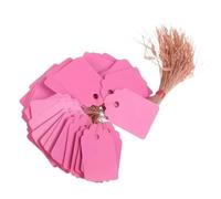 Lot de 100 étiquettes marquage jardinage en plastique imperméables à suspendre Pour l'enregistrement des noms de plantes(Pink)