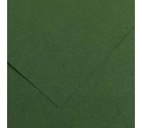Lot de 100 Feuille Iris® Vivaldi® A4 120g/m², coloris vert sapin 31