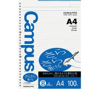 Lot De 100 Feuilles A4 30 Trous Classique Blanc