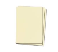 Lot de 100 feuilles de carton de bricolage DIN A4, ivoire, 240 g/m², 21 x 29,7 cm, à bricoler, pour album photo, carte de menu, imprimable, bricolage créatif