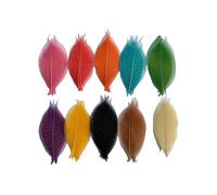 Lot de 100 Feuilles de Squelette de Couleurs mélangées - 10,2 à 12,7 cm - Arbre en Caoutchouc Naturel pour Scrapbooking,