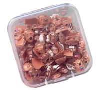 Lot de 100 figurines miniatures Capybaras Collectibles Décorations Ongles Art Flatback Charms Dollhouses Jardin Paysage Capybara Figurines en vrac