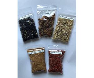 Lot de 100 g d'encens en grains purs Mirra, Olibano B. Papyfera, santal rouge, Ponticale liturgique, Poteau Saint en poudre, mélange de résine 20 gx5