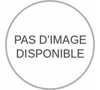 Lot de 100 Goutteurs auto-régulant RAIN BIRD XB 2L/H Bleu G
