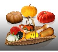 Lot De 100 Graines À Semer - Le Grenier D'abondance - Fan De Courges - 9 Sachets Individuels