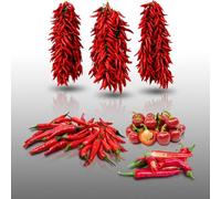 Lot De 100 Graines À Semer - Le Grenier D'abondance - Fan De Piments - 4 Sachets Individuels