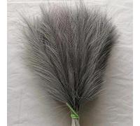 Lot de 100 herbes de la pampa séchées - 42 cm - Grises - Décoration bohème - Plantes artificielles - Pour fête, mariage, maison