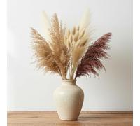 Lot de 100 herbes de la pampa séchées - 50 cm - Fleurs séchées comme décoration de table bohème naturelle