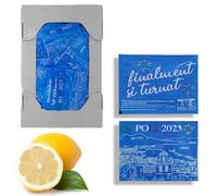 Lot de 100 lingettes jetables Napulé rafraîchissantes au citron, paquets individuels biodégradables pour restaurants bars hôtels événements restaurants, action désinfectante et purifiante pour usage