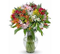 Lot de 100 lys péruviens assortis Avec vase.