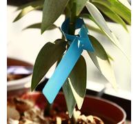 Lot de 100 marqueurs imperméables en PVC pour arbres de jardin, parfaits pour identifier les orchidées, les roses et autres plantes (vert)