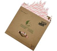 Lot de 100 Pailles en Papier Rose et Blanc Rayures, Biodégradable Pailles Rayées Rose et Blanche pour Anniversaire, Mariage, Fête Prénatale, Célébration