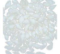 Lot de 100 petites conques en coquillage de mer Rare Cadeau de Noël Manipulation pratique