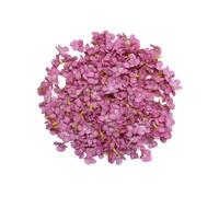 Lot de 100 petites fleurs artificielles en soie pour fête de mariage, chaussures, chapeaux, couronne, loisirs créatifs, vase de gâteau (100, rose rouge)
