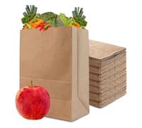 Lot de 100 petits sacs en papier kraft marron - Sacs cadeaux en papier kraft - Sacs à sandwich pour fête de mariage, remplissage d'emballage cadeau - 21 x 12 x 7 cm