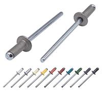 Lot de 100 pièces de rivets aveugles peints 4,0 x 8 mm, tête bombée, DIN 7337, rivet en aluminium et mandrin en acier, rivets à pression (100, aluminium gris RAL 9007)