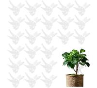 Lot de 100 pinces à orchidée libellules en plastique de 3,5 x 4,7 cm, clips de support polyvalents pour plantes de jardin et plantes grimpantes, accessoires de plantes intérieur/extérieur (transparent