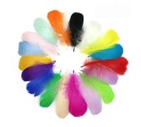 Lot de 100 plumes colorées pour loisirs créatifs, mariage, décoration d'intérieur, planificateur d'événements avec onglets et poches (orange, taille unique)