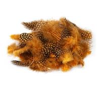 Lot de 100 plumes de pintade, plumes de faisan naturelles, 5 à 8 cm, accessoires de bijoux, décoration de fête, plumes artisanales, orange