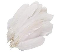 Lot de 100 plumes d'oie blanches de 15,2 à 22,9 cm pour la maison, un mariage, un anniversaire, une fête de Noël, etc.