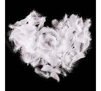 Lot de 100 plumes d'oie blanches pour loisirs créatifs, attrape-rêves, boucles d'oreilles, mariage, festival, fête prénatale, décoration de scrapbooking - 5-8 cm