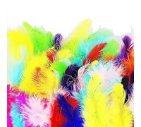 Lot de 100 plumes d'oie colorées pour loisirs créatifs, loisirs créatifs, décorations de bricolage, chapeaux, costumes