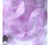 Lot de 100 plumes d'oie naturelles pelucheuses et douces pour loisirs créatifs, attrape-rêves, décorations de carnaval, chapeau, vase, masque, boucles d'oreilles (lavande)