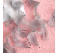 Lot de 100 plumes d'oie naturelles pelucheuses et douces pour loisirs créatifs, attrape-rêves, décorations de carnaval, chapeau, vase, masque, boucles d'oreilles (gris)