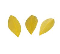 Lot de 100 plumes d'oie naturelles - Plumes d'oie colorées - Accessoire de bricolage pour attrape-rêves, coiffure, costumes, chapeaux, masques, accessoires pour mariage, fête, décoration de table