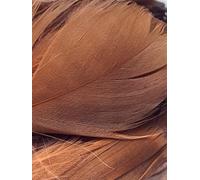 Lot de 100 plumes marron foncé