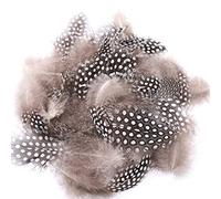 Lot de 100 plumes naturelles pour bricolage, décoration de Pâques, plumes de poulet, plumes de pintade, plumes décoratives naturelles, plumes décoratives pour attrape-rêves, carnaval, masques,