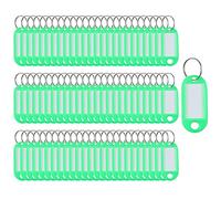 Lot de 100 porte-clés en plastique fendu porte-clés de tri porte clés plastique étiquettes d'identification pour clés de maison, étiquettes à bagages, de nom d'animal de compagnie (Vert)