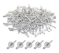 Lot de 100 Rivet Aveugles en Aluminium, Rivets Pop 4,8 x 13 mm Bride Rivet Pop Tete Large pour Métal Bois Plastique (argenté)