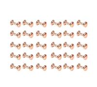 Lot de 100 Rivets à Clous en Métal Doré Rose, Double Rivets Tubulaires en Or Rose, Bouton Rond en Métal pour Sacs à Main, Sacs à Main, Chaussures, Ceintures, Artisanat du Cuir.(6x8mm)