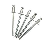 Lot de 100 rivets aveugles 3,0 x 5 mm, tête bombée type ouverte, DIN 7337, rivets en aluminium et mandrin en acier, rivets pop (100, 3,0 x 5 mm)