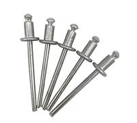 Lot de 100 rivets aveugles 4,0 x 6 mm, tête bombée type ouverte, DIN 7337, rivets en aluminium et mandrin en acier, rivets pop (100, 4,0 x 6 mm)