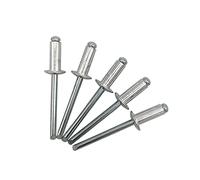 Lot de 100 rivets aveugles 4,8 x 12 mm à tête bombée type ouvert DIN 7337 en aluminium et mandrin en acier rivets pop (100, 4,8 x 12 mm)