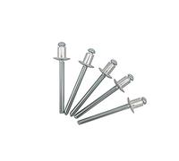 Lot de 100 rivets aveugles 4,8 x 6 mm à tête bombée type ouvert DIN 7337 en aluminium et mandrin en acier rivets pop (100, 4,8 x 6 mm)