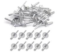 Lot de 100 rivets aveugles en aluminium avec grande bride, fixation en métal, rivets de pression, grands rivets en forme de dôme avec corps en aluminium et mandrin en acier pour fer blanc (4,8 mm x 12