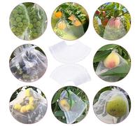 Lot de 100 sacs de protection pour fruits avec cordon de serrage, filet de protection des plantes de jardin, pour fruits, légumes, fraises, prunes, anti-insectes et oiseaux, sacs blancs (10 x 15 cm)