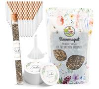 Lot de 100 tubes à essai avec graines de fleurs - Cadeau de mariage spécial pour les invités comme cadeau - Laissez notre amour grandir - Kit complet
