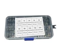 Lot de 100 tubes en verre 5 x 20 mm Fusibles fins 0,5 A-20 A Tubes en verre lents de rechange pour fusibles électriques domestiques fins