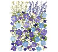 Lot de 100 véritables fleurs séchées pressées herbier naturel pour la fabrication de bijoux en résine (20 styles) - Bleu