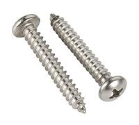 Lot de 100 vis auto-taraudeuses à tête cylindrique Phillips 1-1/4" en acier inoxydable 304 18-8