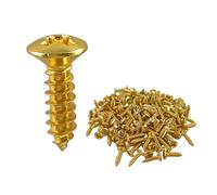 Lot de 100 vis de protection pour guitare électrique et basse