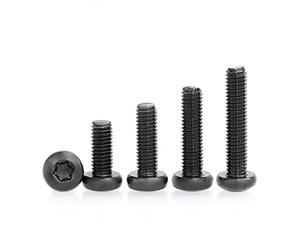 Lot de 100 vis Torx anti-vol en acier inoxydable 304 M2,5 x 4 mm Noir Petite vis